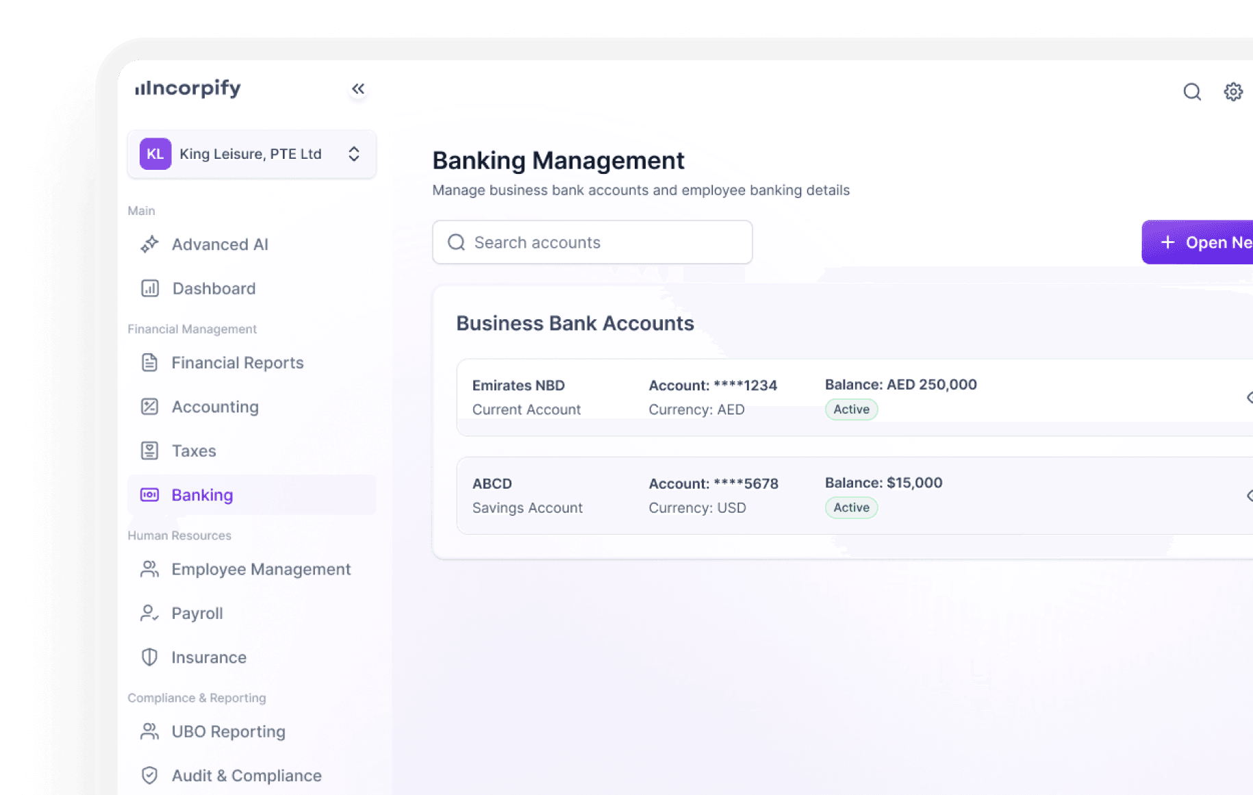 Incorpify platform preview